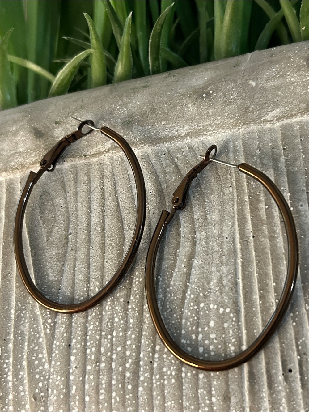 Classic Brown Oval Hoop Earrings - Women Accessories